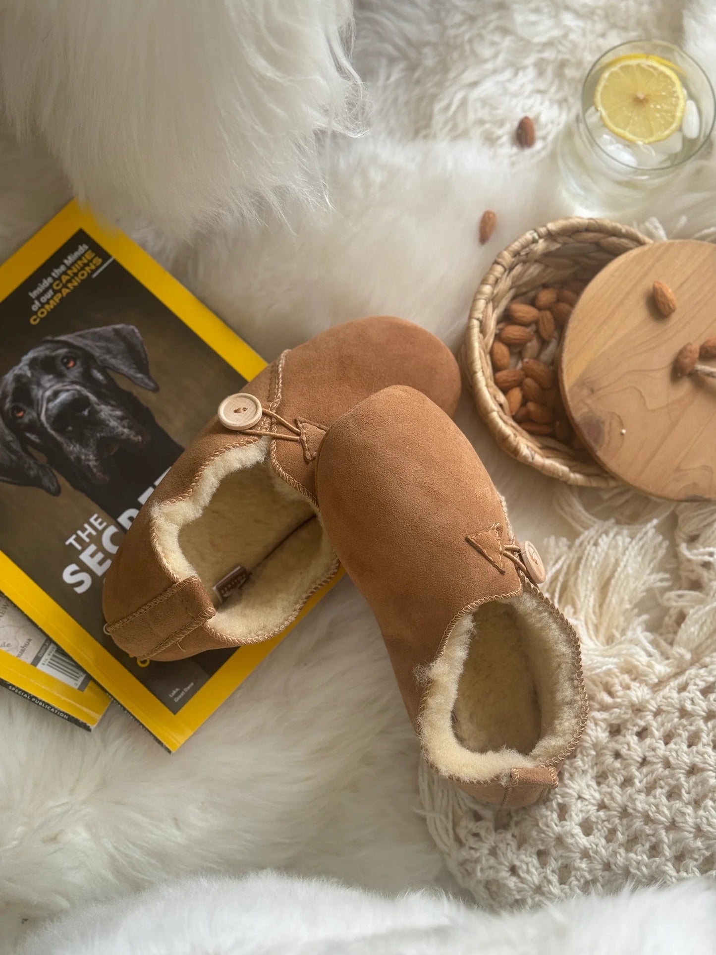 Unisex Boreal Sheepskin Slippers - Beige - Euro Shoe House