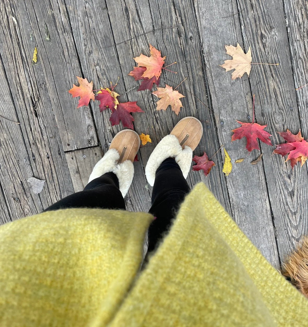 Women's Sami Sheepskin Boots - Beige - Euro Shoe House