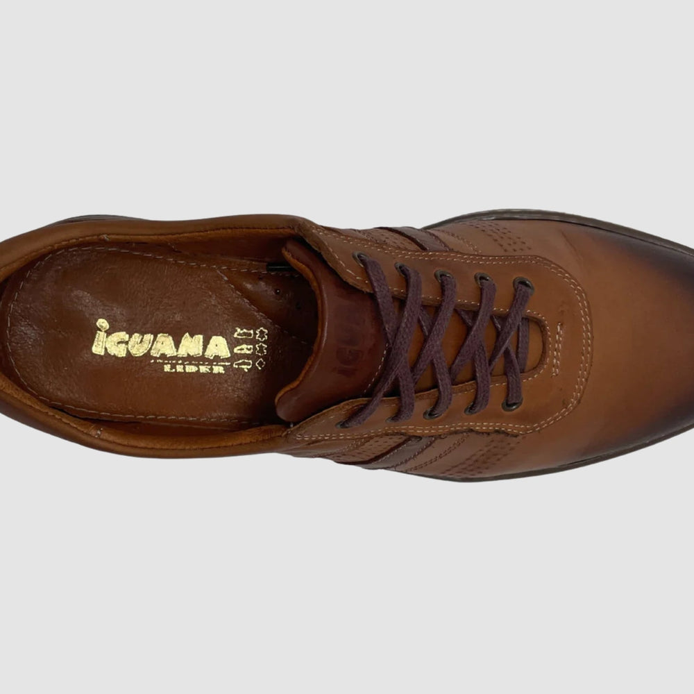 
                  
                    Men's Theo Leather Shoes – Brown - Euro Shoe House
                  
                